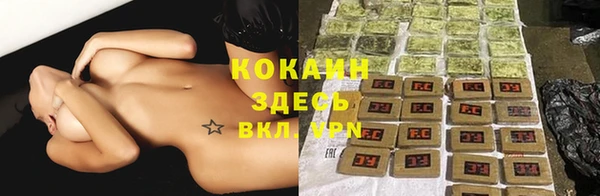 молекула духа Арсеньев
