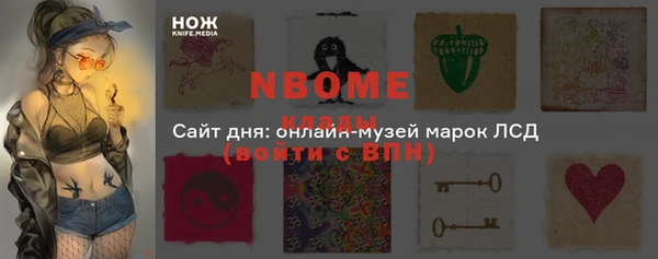 сатива Аркадак