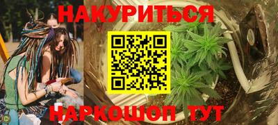 ешки Бийск