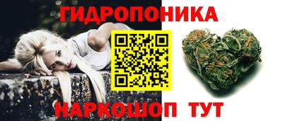 ешки Бийск