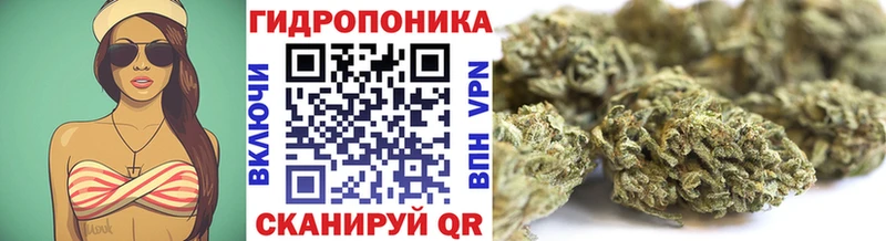 как найти закладки  Братск  Конопля гибрид 